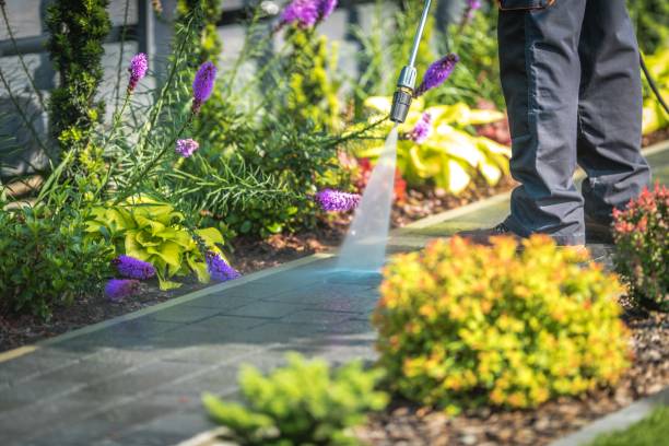 Best Winterizing Services  in Kalaheo, HI