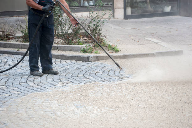 Best Pre-Holiday Cleaning  in Kalaheo, HI